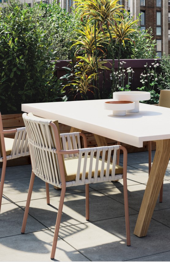 Moderne tuinset met planten op zonnig terras.